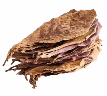 Catappa-löv Small 5-8 cm