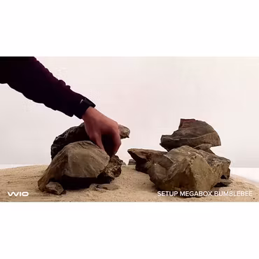 Sten - Bumblebee Rock - Stenpaket Nano