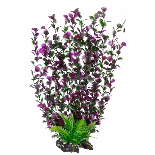 Plastväxt Spikewort grön med lila detaljer 40 cm