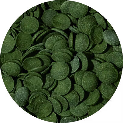 Green algae wafers 100 ml