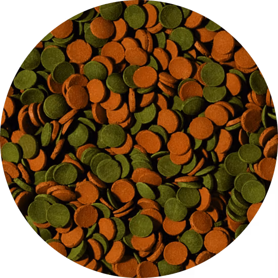 Mini wafers mix 100 ml