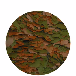 Cichlid Color Flakes - Lösvikt