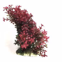 Plastväxt Rotala 11-17 cm