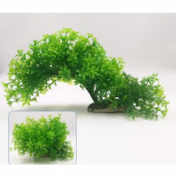 Plastväxt Bacopa 12-21 cm