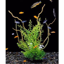 Plastväxt på rot Petite leaves 38 cm