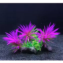 Plastväxt på rot Magenta 13 cm