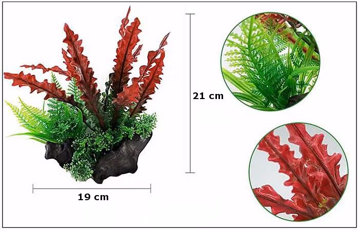 Plastväxt på rot Cryptocoryne red 21 cm  A