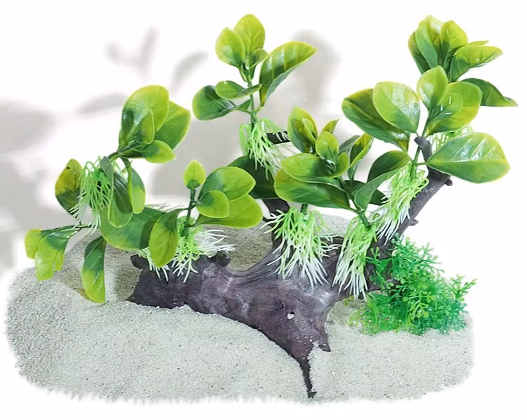 Plastväxt på rot Anubias 18 cm