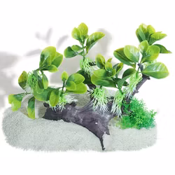 Plastväxt på rot Anubias 18 cm