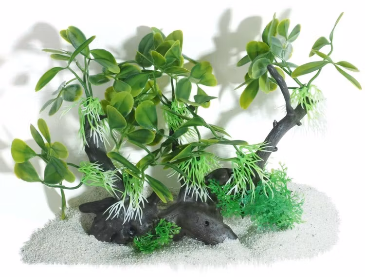 Plastväxt på rot Anubias petite 17 cm