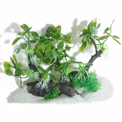 Plastväxt på rot Anubias petite 17 cm