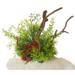 Plastväxt på rot Petite leaves 22 cm