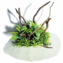 Plastväxt på rot Anubias petite 19 cm