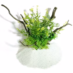 Plastväxt på rot Petite leaves 21 cm