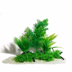 Plastväxt på rot Difformis 25 cm