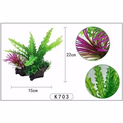 Plastväxt på rot Cryptocoryne 21 cm