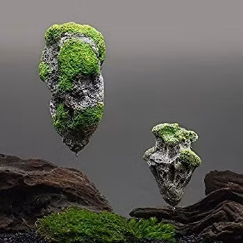 Floating rock small A