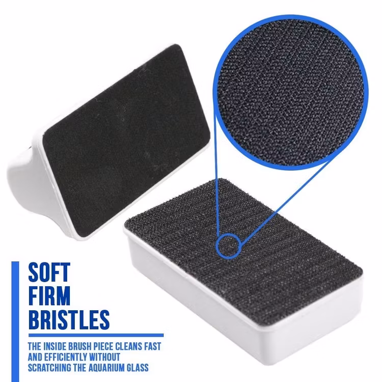 Flytande algmagnet small E