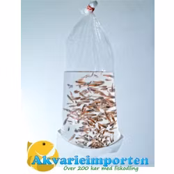 Transportpåsar - 25 x 50 cm - 80 my