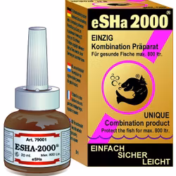 eSHa 2000