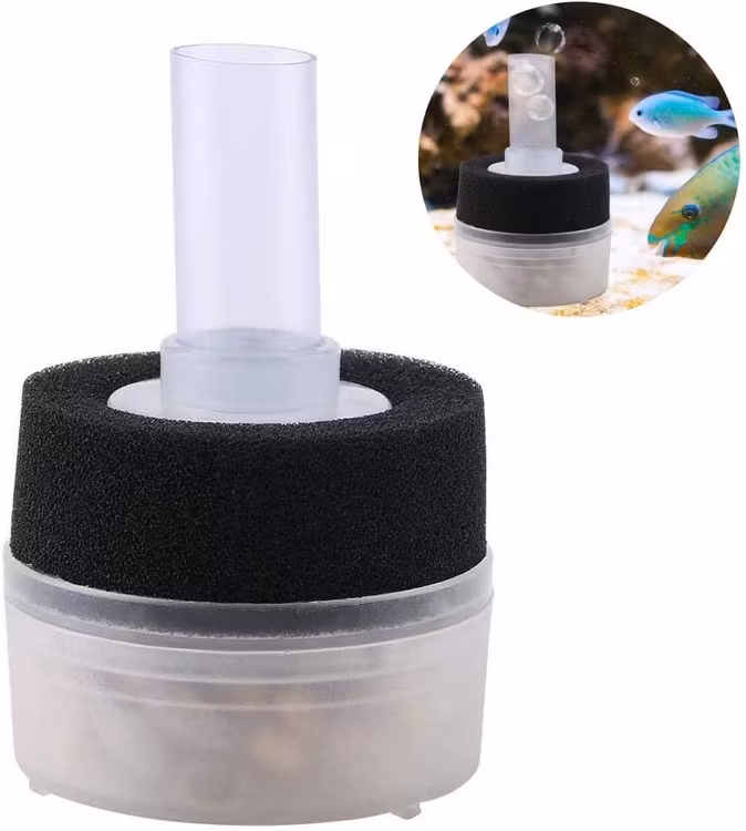 Box filter med filtersvamp och pimpsten - mini