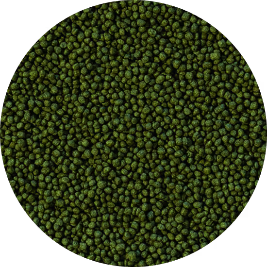 HERBIVORE - small pellet 10 liter B