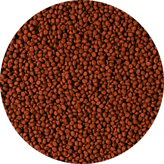 CARNIVORE - small pellet 1000 ml B
