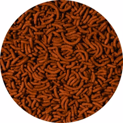 Cichlid & Arowana Sticks - Medium 5 liter