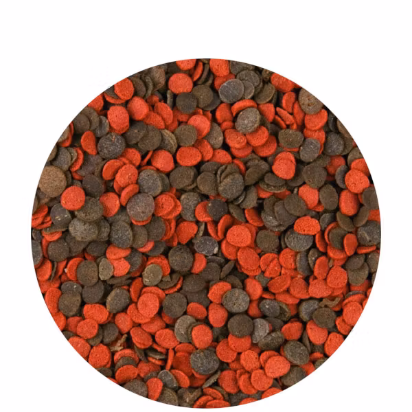 Cichlid Chips 1000 ml B