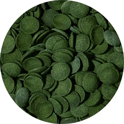 Green algae wafers 5 liter B