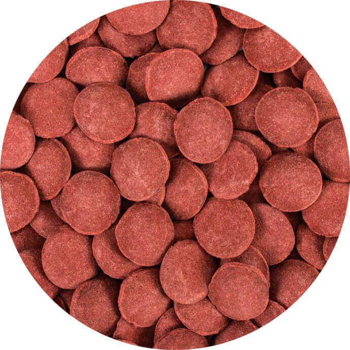 Hi-Protein Discs XXL 250 ml B