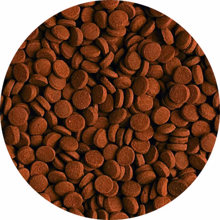 Carnivore Tabs 1000 ml B