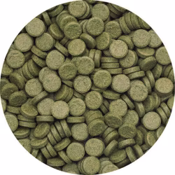 3-Algae Tablets A 50 ml