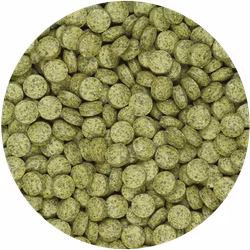Tropical Vegetable Tabin B - Lösvikt