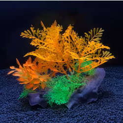 Plastväxt på rot Difformis 16 cm