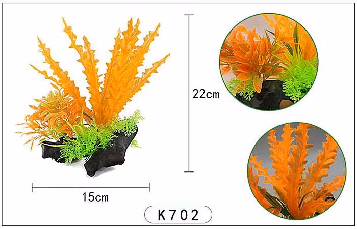Plastväxt på rot Cryptocoryne orange 21 cm A