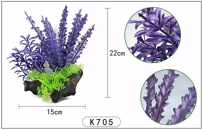 Plastväxt på rot Cryptocoryne blå / lila 21 cm A