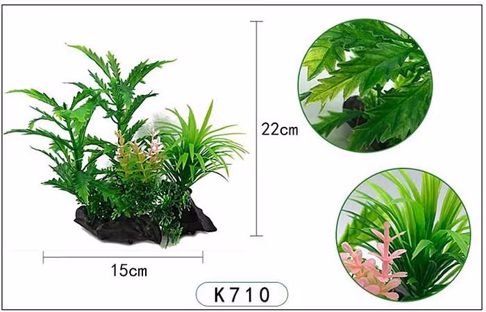 Plastväxt Pinnatifida 20 cm A