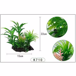 Plastväxt Pinnatifida 20 cm