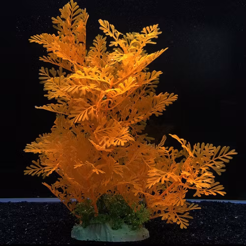 Plastväxt Difformis orange 29 cm