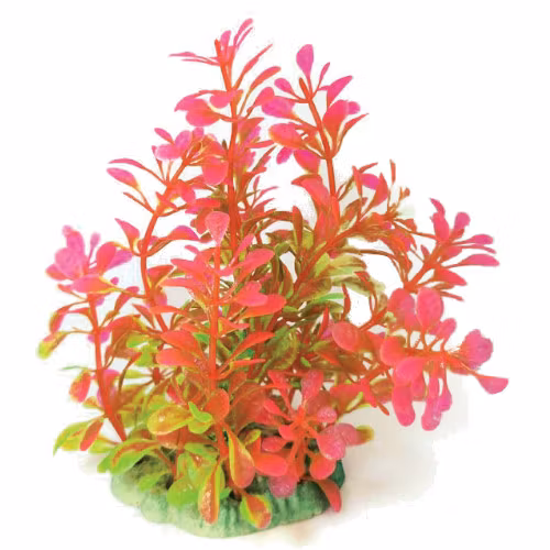 Plastväxt Bacopa rosa / gröna detaljer 13 cm