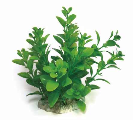 Plastväxt Bacopa grön 13 cm