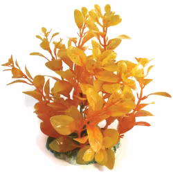 Plastväxt Bacopa orange 13 cm