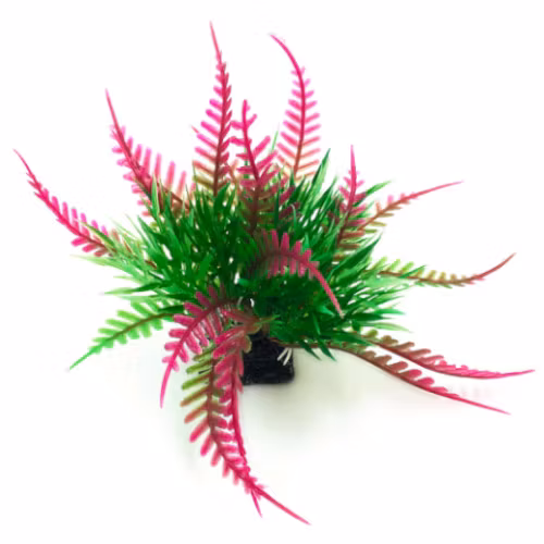 Plastväxter till akvarium Fern grön med lila detaljer 6 cm