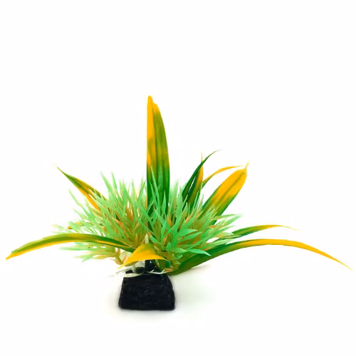 Plastväxt Helanthium grön/ gula detaljer 10 cm