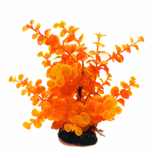 Plastväxt Limnobium orange 19 cm
