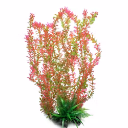 Plastväxt Rotala bonsai grön / rosa 40 cm