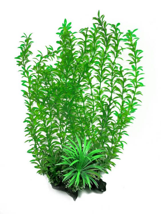 Plastväxt Rotala 40 cm B