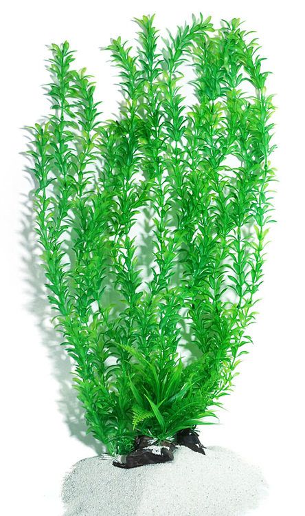 Plastväxt Rotala 40 cm A
