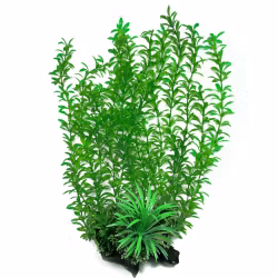 Plastväxt Rotala 40 cm